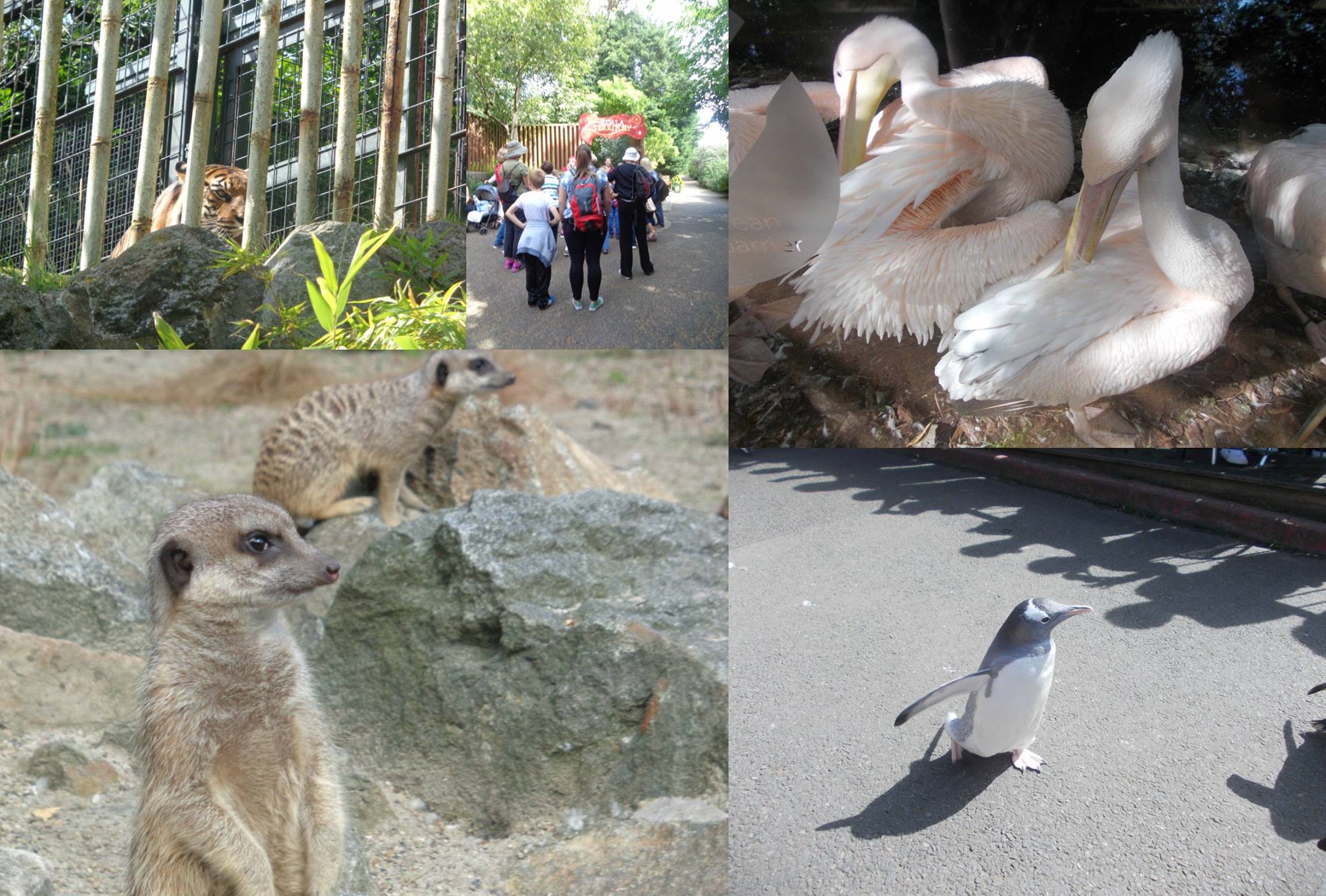 Edinburgh Zoo Dumfries and Galloway Befriending Project